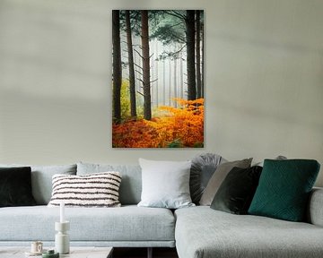 Herbstlicher Wald mit Nebel von Poster Art Shop
