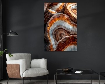 Wooden discs in detail - naturalness by Poster Art Shop