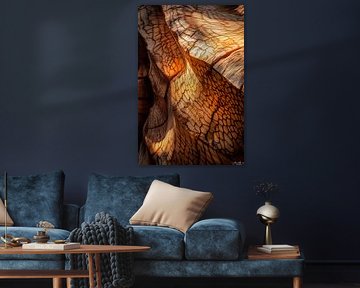 Wood texture with play of light - close-up by Poster Art Shop