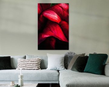 Rote Blütenblätter – Nahaufnahme von Poster Art Shop