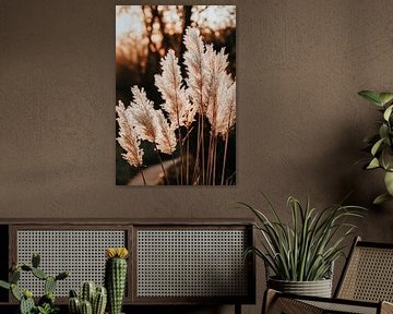 Savannah grass in sunlight - natural by Poster Art Shop