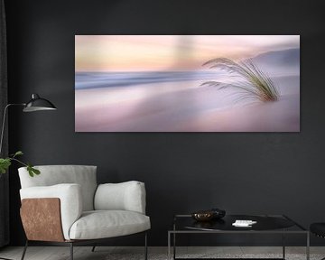 Beach grass in the soft morning light by Poster Art Shop