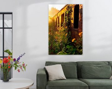 Verlaten trein in het zonlicht - Natuur van Poster Art Shop