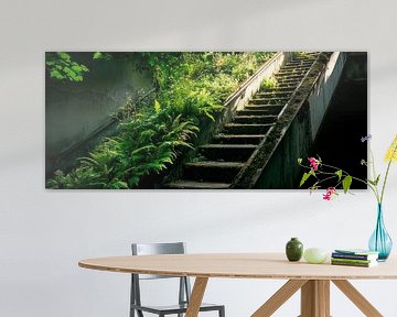 Escalier abandonné avec plantes sur Poster Art Shop