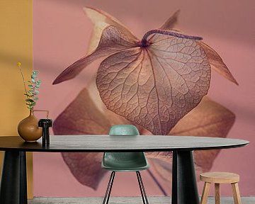 Old rose with golden brown "dancing" hydrangea leaf by Marjolijn van den Berg