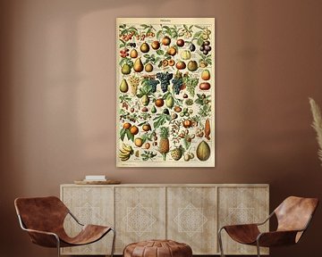 Posters van verschillende soorten fruit van Christopher Deitch