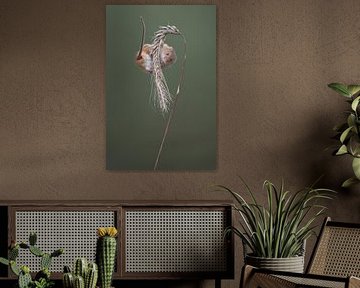 Dwergmuis (Micromys minutus) van Ronald Pol