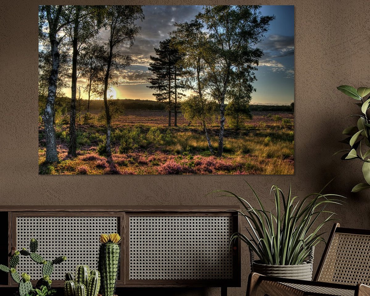 Aperçu de la chambre