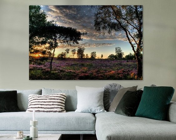 Aperçu de la chambre