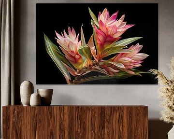 Plant with flower, botanical art print