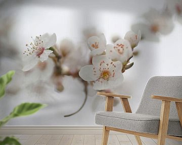 Spring blossom in a romantic setting.