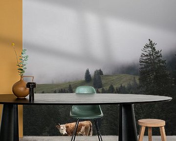 Lonely cow in the Alps | Switzerland | travel photography