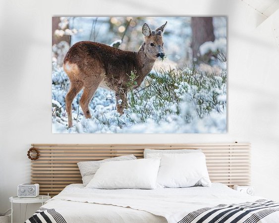 Aperçu de la chambre