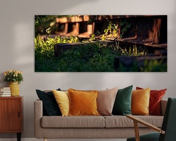 Railway tracks with grass cover by Poster Art Shop