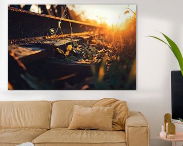 Railway tracks with plants - sunset by Poster Art Shop