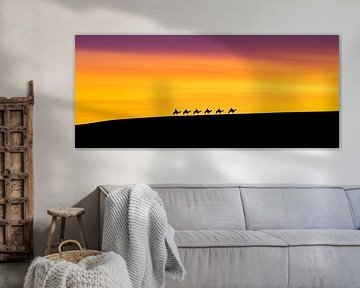 Chameaux au coucher du soleil - Silhouettes sur Poster Art Shop