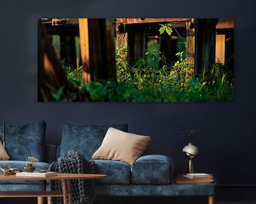 Logs with grass - nature by Poster Art Shop