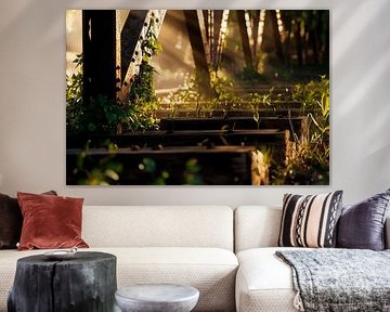 Light-flooded forest floor - natural by Poster Art Shop