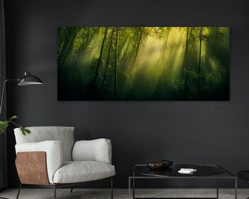Zonnestralen in het dichte bos van Poster Art Shop