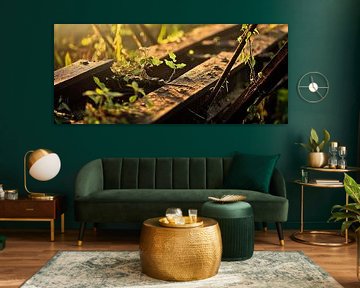 Rusted wooden planks with plants by Poster Art Shop