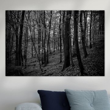 troubled forrest  von claes touber