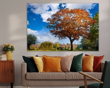 Autumn in Drente