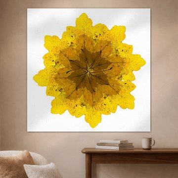 Caleidoscoop van herfstbladeren.