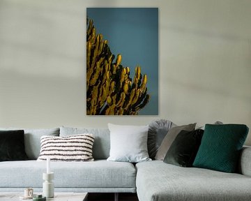 Gouden Rand van de Natuur Cactus in de avondzon van Femke Ketelaar