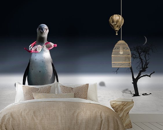 Aperçu de la chambre