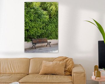 bench against green bush by Lieve Sluijsmans