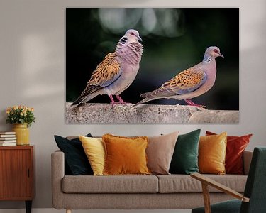 Aperçu de la chambre