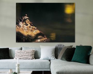 Crocodile majestueux II sur Crystal Clear