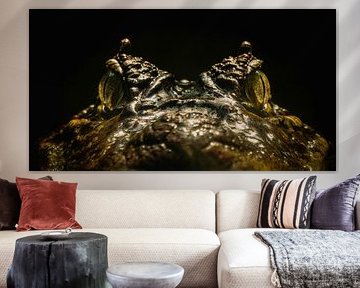 Crocodile majestueux IV sur Crystal Clear
