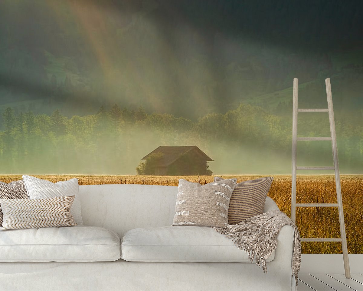Voorbeeld van het werk in een kamer