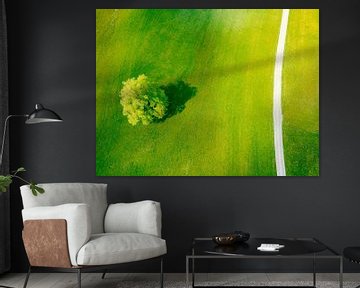 Baum auf einer frischgrünen Almwiese im Frühling, gesehen von von Sjoerd van der Wal Fotografie