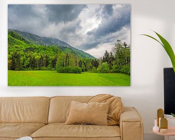 Alpenuitzicht in de lente met een dramatische lucht op de achtergrond van Sjoerd van der Wal Fotografie