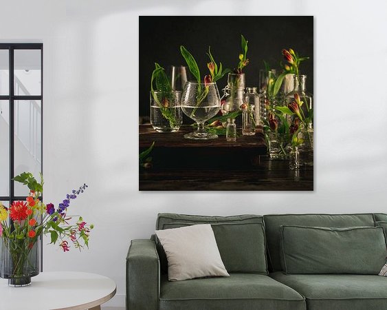 Aperçu de la chambre