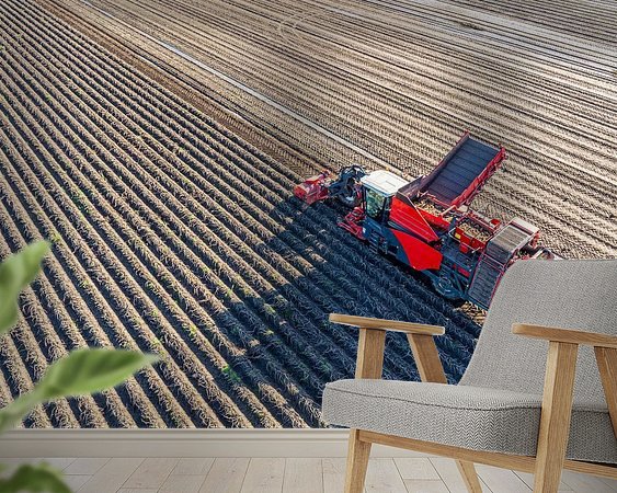 Raumvorschau