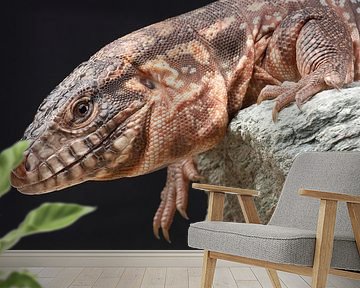 Rode Teju (Salvator rufescens)