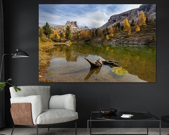 Aperçu de la chambre