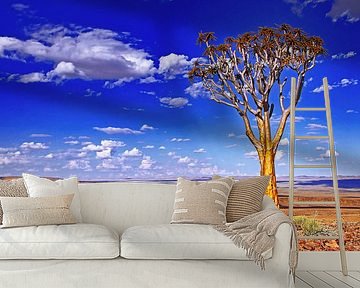 Quiver tree in Namibia by WiWo