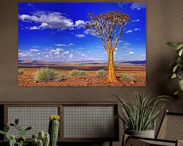 Kokerboom in Namibië van W. Woyke