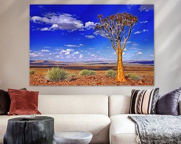 Kokerboom in Namibië van W. Woyke