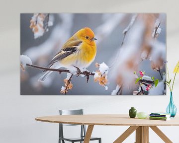 Erithacus rubecula Roodborstje op een besneeuwde tak in de winter van Animaflora PicsStock