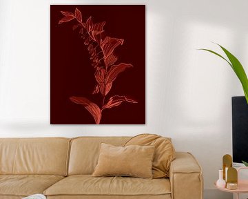 Zweig mit Blüte | Rosa Rot | Illustration von Jansje Kamphuis