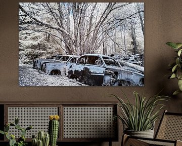 Het mystieke autokerkhof van Båstnäs van Gerry van Roosmalen