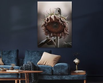 Verwelkte zonnebloem close-up van Imperial Art House