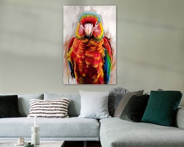 Papegaai met kleurrijke veren van Imperial Art House