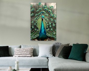 Bunter Pfau mit ausgebreiteten Federn von Imperial Art House