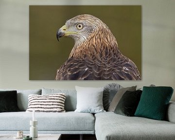 Het Oog van de Rode Wouw.
